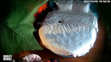 [森林房偷拍] 清纯女大生和男友害羞约会~到床上还是不敢跨过那条线~直到男友兽性大发直接不脱衣猛操2次~