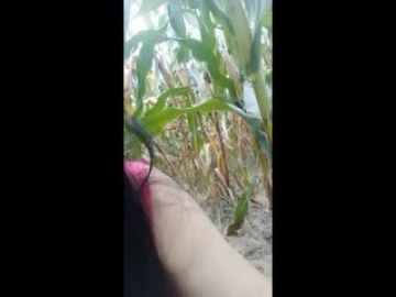 【超清新片速递】2022_6_15，【风鸣鸟唱花探】，探花直播首秀，良家，家中吃晚饭，啤酒助兴，无套内射，精彩大戏必看