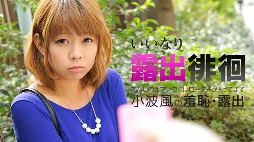 Caribbeancom_061116-183-A-いいなり露出徘徊 ～あた...