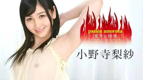 Caribbeancom_030317_385-パシオン?アモローサ ～爱...