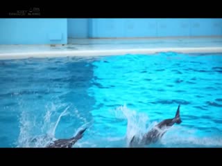 PXH-023 Obo Girl 适度丰满  美丽肌肤